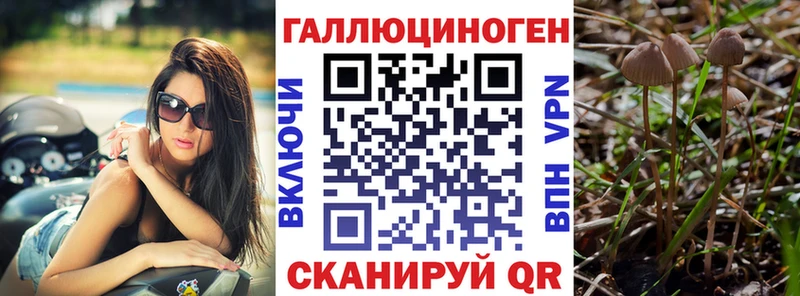 гидра зеркало  Киреевск  Псилоцибиновые грибы прущие грибы  наркошоп 